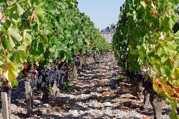 Bordeaux a borászat fővárosa