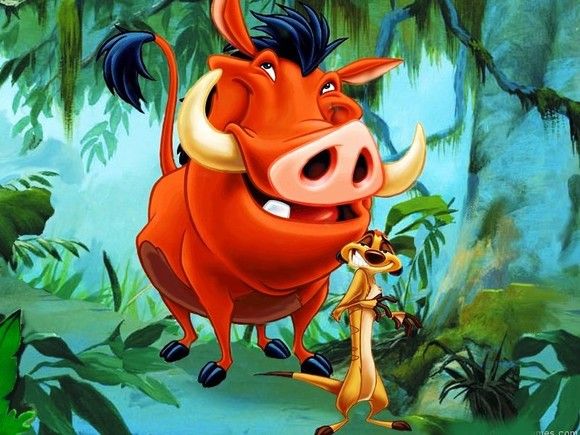 Vagy mint Pumba az Oroszlánykirályból? (Fotó: allthelikes.com )