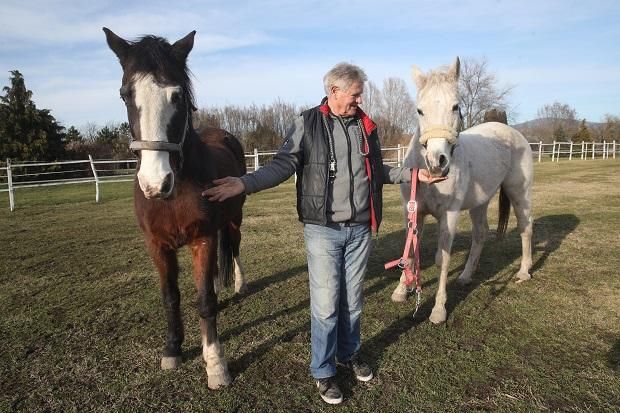 Gyerekkorából hozta a lovak szeretetét, sajátra vágyott, s a Szentendrei-szigetre költözve többet is tart
