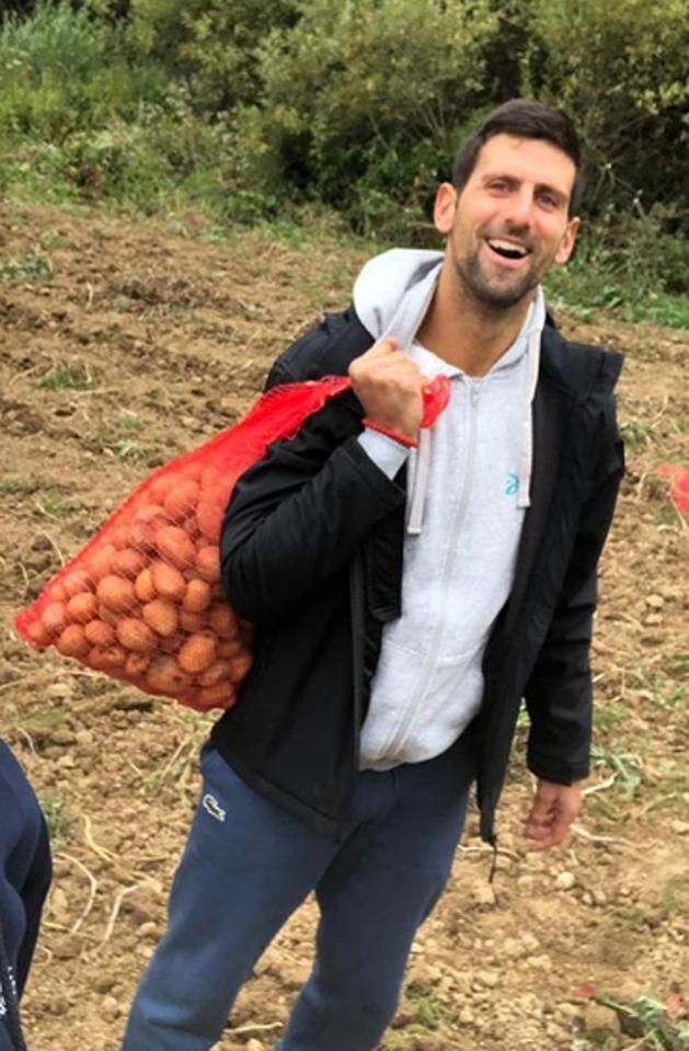 Novak Djokovics krumplit szedett Szerbiában (Fotó: Instagram)