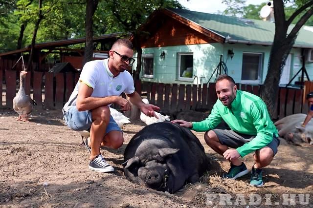 Állatmenhelyen jártak a ferencvárosiak (Fotó: fradi.hu)