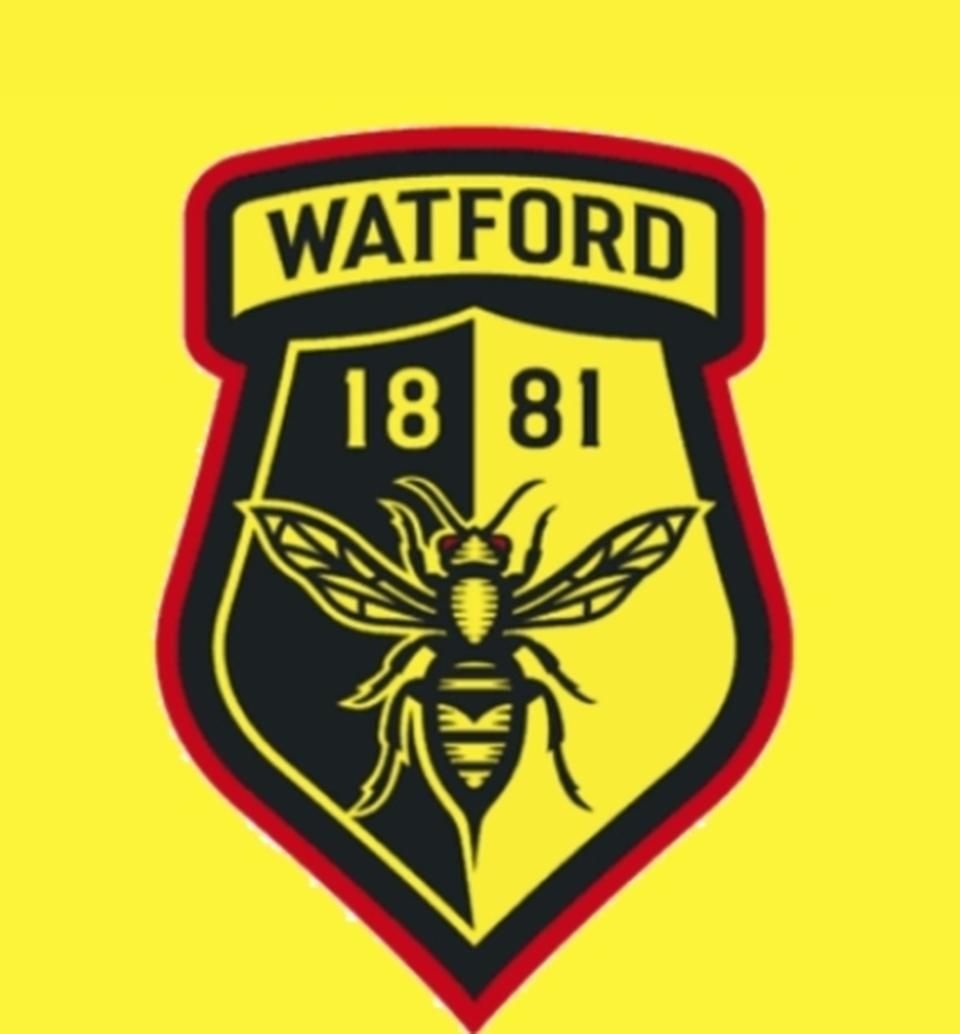A Watford új címere (Fotó: The Athletic)