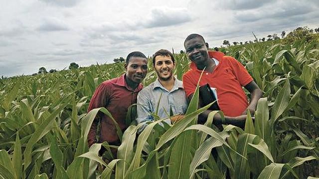 Menéndez kukorica- és szójaföldeken dolgozott Nigériában (Fotó: Clarín)