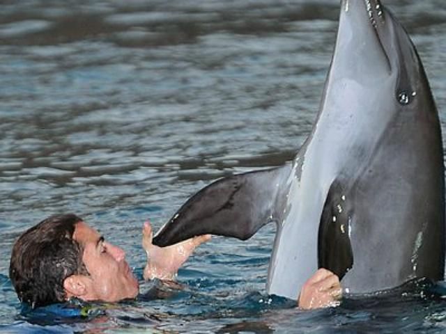 „A biológusok találtak egy speciális delfint, amely képes a futballpályán is életben maradni. Cristiano Ronaldónak nevezték” – poénkodtak a szurkolók a közösségi oldalakon (Fotó: Twitter)