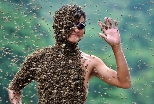Több ezer méh lepi el az indulók testét (Fotó: euronews.net)