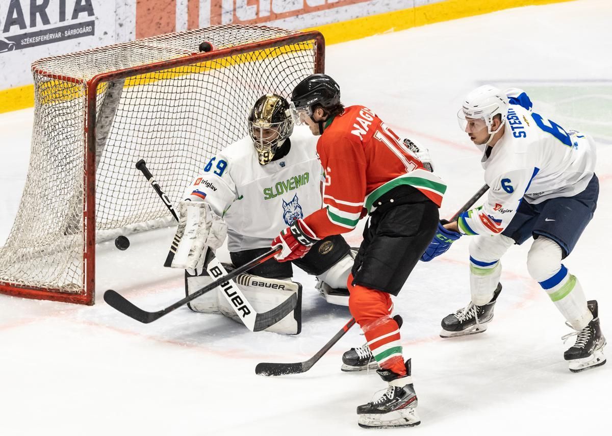 The captain of the Hungarian national team, Gergő Nagy, is not short either, but the host Slovenians stand out from the field. They are the clear favorites for promotion on domestic ice (Photo: Károly Árvai)