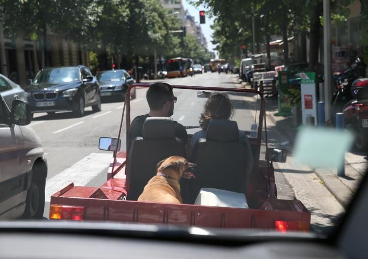 Tudósítóink egyelőre nem ütköztek nagy közlekedési dugóba és a képen látható kutyának is jó útja volt (Fotó: Hegedüs Gábor)