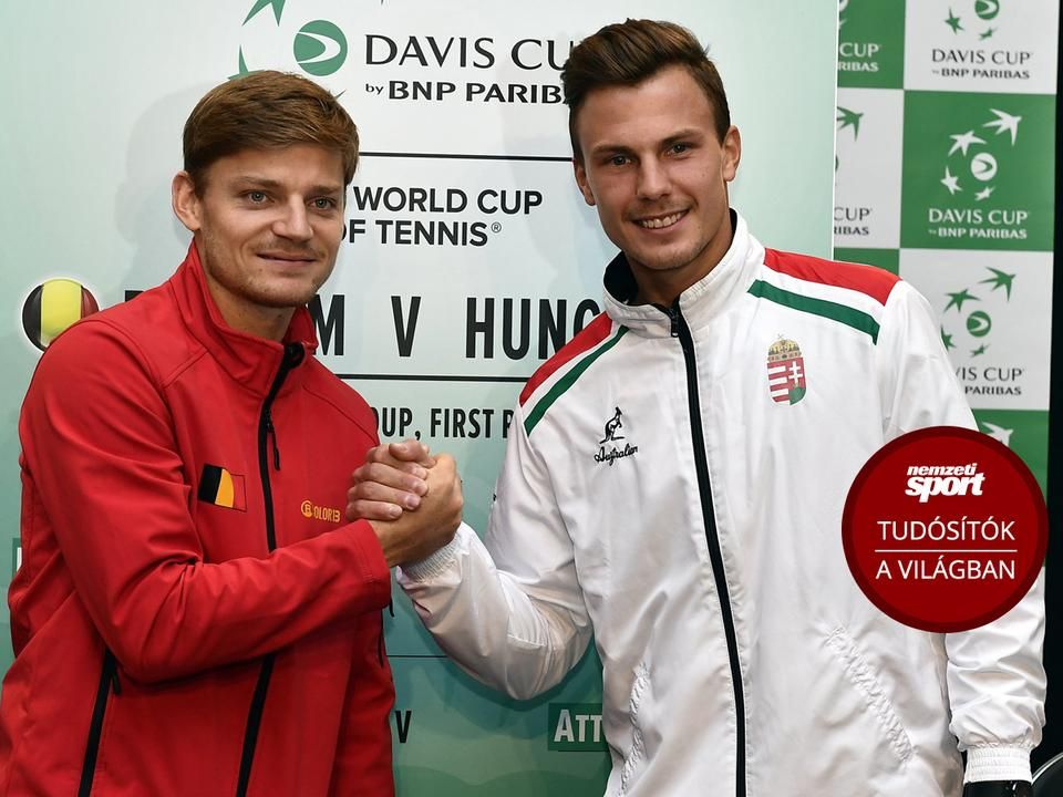 Fucsovics (jobbra) meccsben tarthatja a magyar csapatot (Fotó: Facebook)