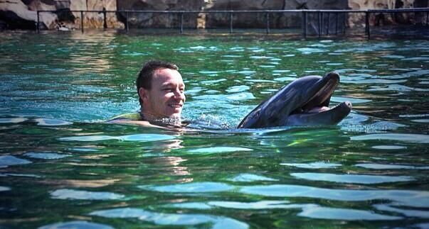 Terry és a delfin (Forrás: 101greatgoals)