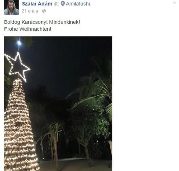 Karácsonyfa a pálmafák között (Fotó: Szalai Ádám Facebook)