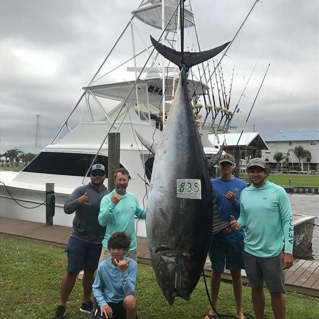 A 14 éves fiú 380 kilós tonhalat fogott! (Fotó: facebook.com/pg/whoodatsportfishing)