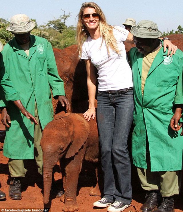 A látogatás fénypontja: a találkozás a két hónapos kis elefánttal (Fotó: facebook.com/giselebündchen)