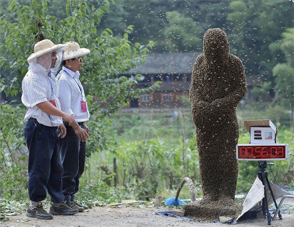 Több ezer méh lepi el az indulók testét (Fotó: MTI)