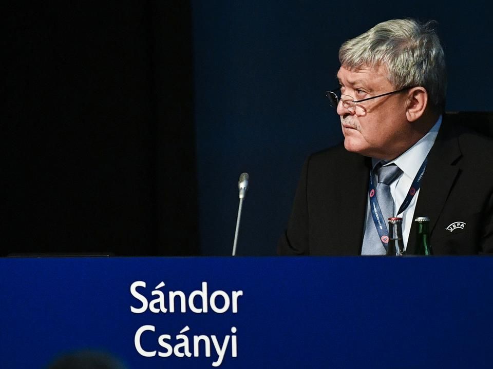 Csányi Sándor, a FIFA új alelnöke (Fotó: AFP)