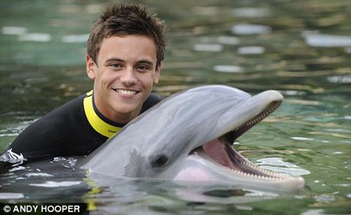 Tom Daley és egy delfin (forrás: dailymail.co.uk)