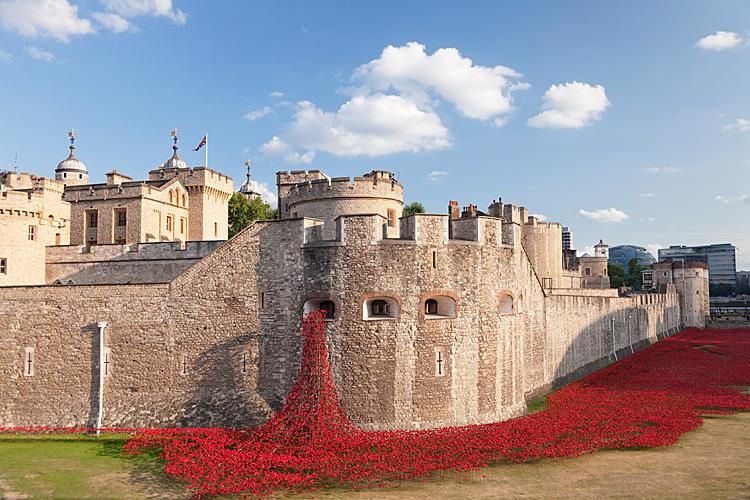 Lenyűgöző látvány: a Tower kerámia emlékpipacsai 2014-ben. Minden brit áldozatért egy (Fotó: AFP)
