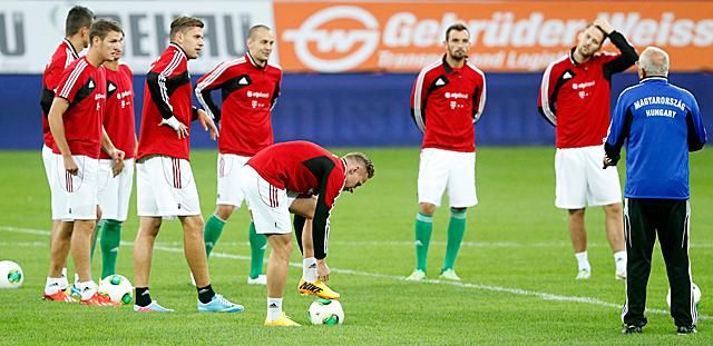 Edzés a stadionban Egervári Sándor vezényletével (Fotó: Mirkó István)