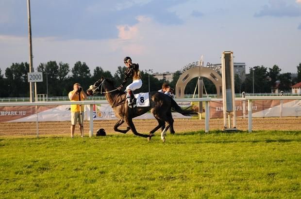 2013: a szürke nyertes árnyalata, avagy Jaroslav Línek győzelemre lovagolja Maydayt (Fotó: Kincsem Park)
