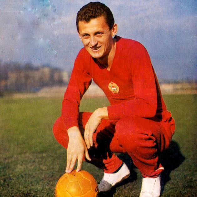 Albert Flórián játékos-pályafutása fénykorában