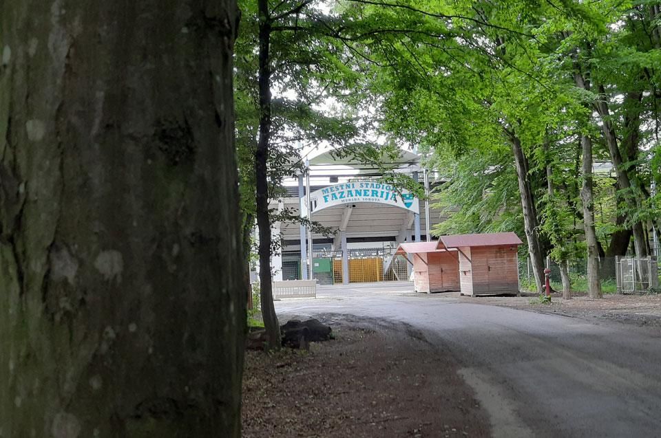 Az ötezres Fazanerija-stadion is egy erdő szélén bújik meg Muraszombaton