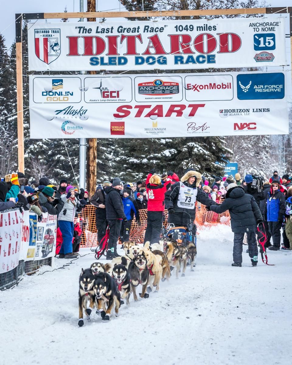 Az Iditarod a világ talán legkeményebb sportversenye (Fotó: AFP)