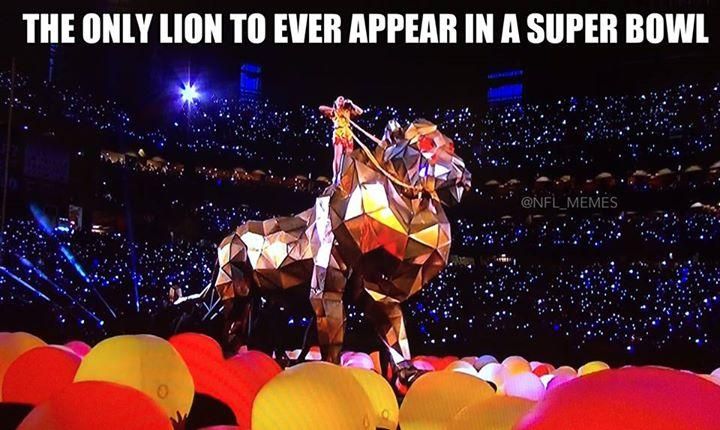 Az egyetlen oroszlán a Super Bowlban – utalva a Detroit Lionsra (Fotó: NFL Memes)