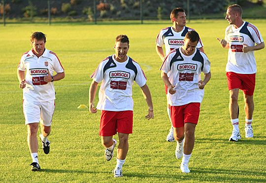 Ha kérdezni szeretne a futballistáktól, a hozzászólások között ezt megteheti (Fotó: Veres Viktor)