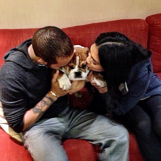 Lewis és Nicole Scherzinger is imádja Roscoe-t (Forrás: Instagram)