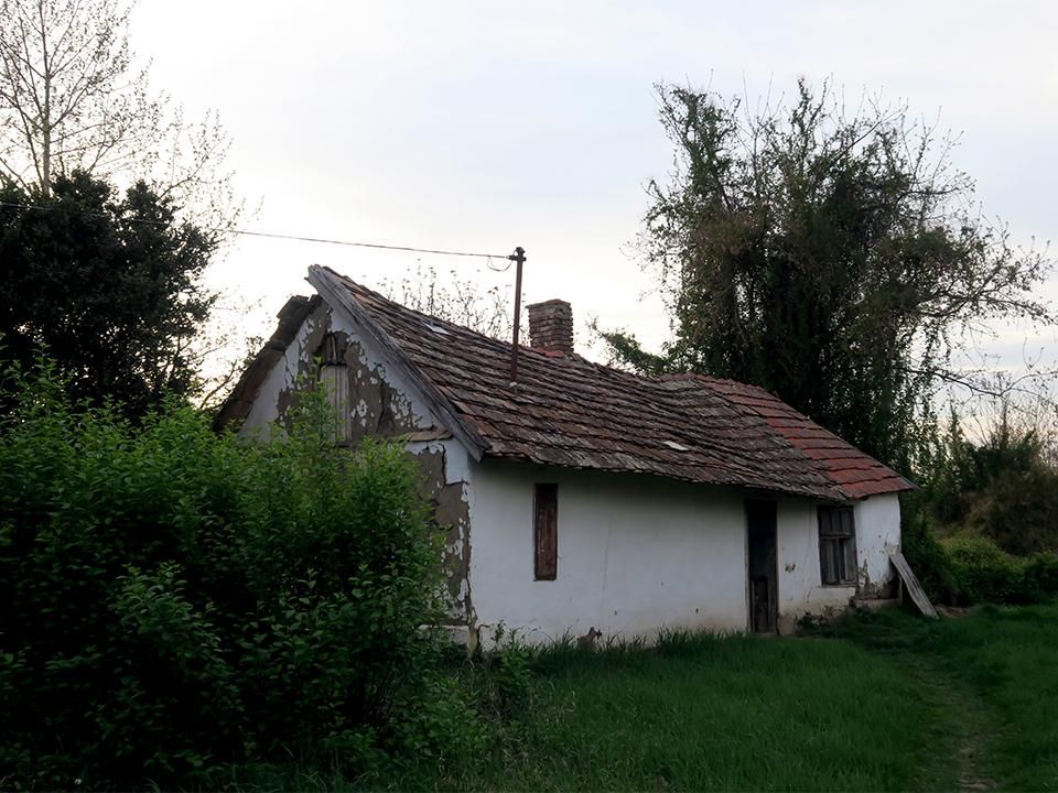 Az egykori szülői ház a Békés megyei faluban – itt nőttek fel a Pisont gyerekek (Fotó: Mirkó István)