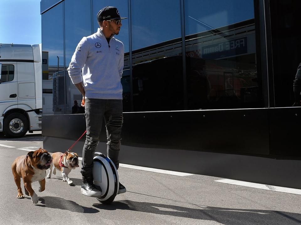 A paddockba elvileg nem szabad állatot vinni, Lewis Hamilton kutyáit mégsem tiltották ki (Fotó: AFP)