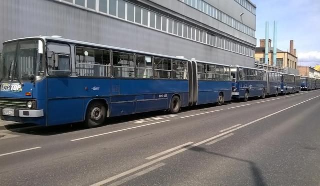 Ezek a buszok szállítják az újpesti szurkolókat (Fotó: Molnár Péter)