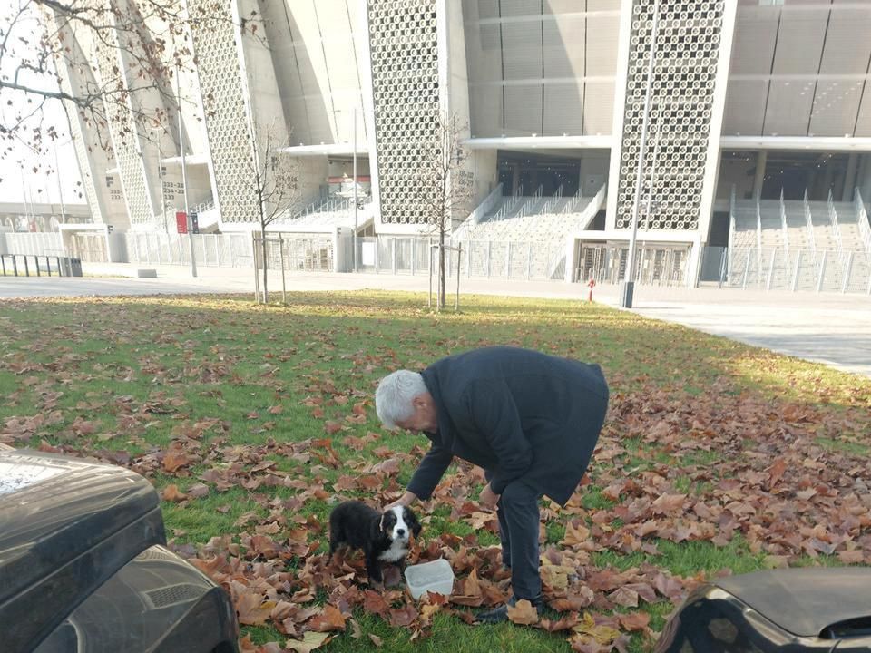 Csank János a születésnapjára kapott kutyáját is elvitte magával (Fotó: Vajda György)