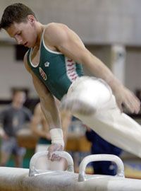 Fekete Levente szurkolói nem csalódtak: lólengésben ötödik helyen jutott be a döntôbe (Fotó: Meggyesi Bálint)