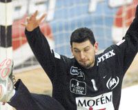 Sterbik Árpád mind a világbajnoki bronzérmes jugoszláv válogatottban, mind a Fotex KC Veszprémben meghatározó egyéniség