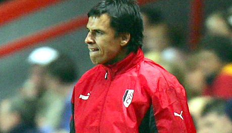 A Fulham edzôje, Chris Coleman elégedett lehetett a pontrablással