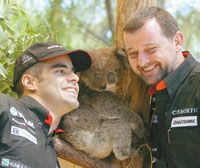 Baumgartner Zsolt (balra) és fônöke, Paul Stoddart remekül érezte magát a melbourne-i állatkertben egy koala társaságában (Fotó: MTI)