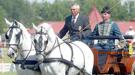 Nyúl Zoltán pénteki sikere után 13 pontos elônnyel várja az akadályhajtást