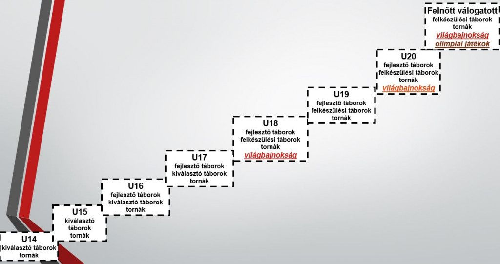 hokiválogatott stratégia