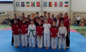 A 2018-as diákbajnokság győztese a Budapesti Honvéd csapata lett Forrás: wtftaekwondo.hu