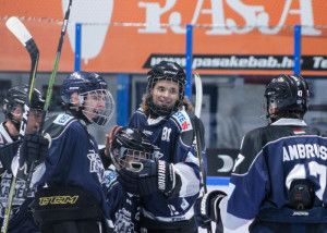 A Fehérvár csapata huszonegy lőtt góllal lépett tovább a negyeddöntőből Forrás: jegkorongakademia.hu