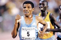 Haile Gebrselassie-nak Brüsszelben ismét egy, szinte a semmibôl elôtűnô kenyaival, Nicholas Kemboijal kellett megküzdenie