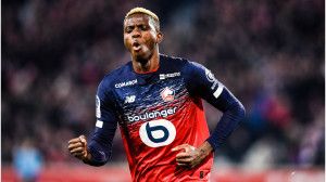 Victor Osimhenért (21) 70 millió eurót tett zsebre a Lille Forrás: transfermarkt.com