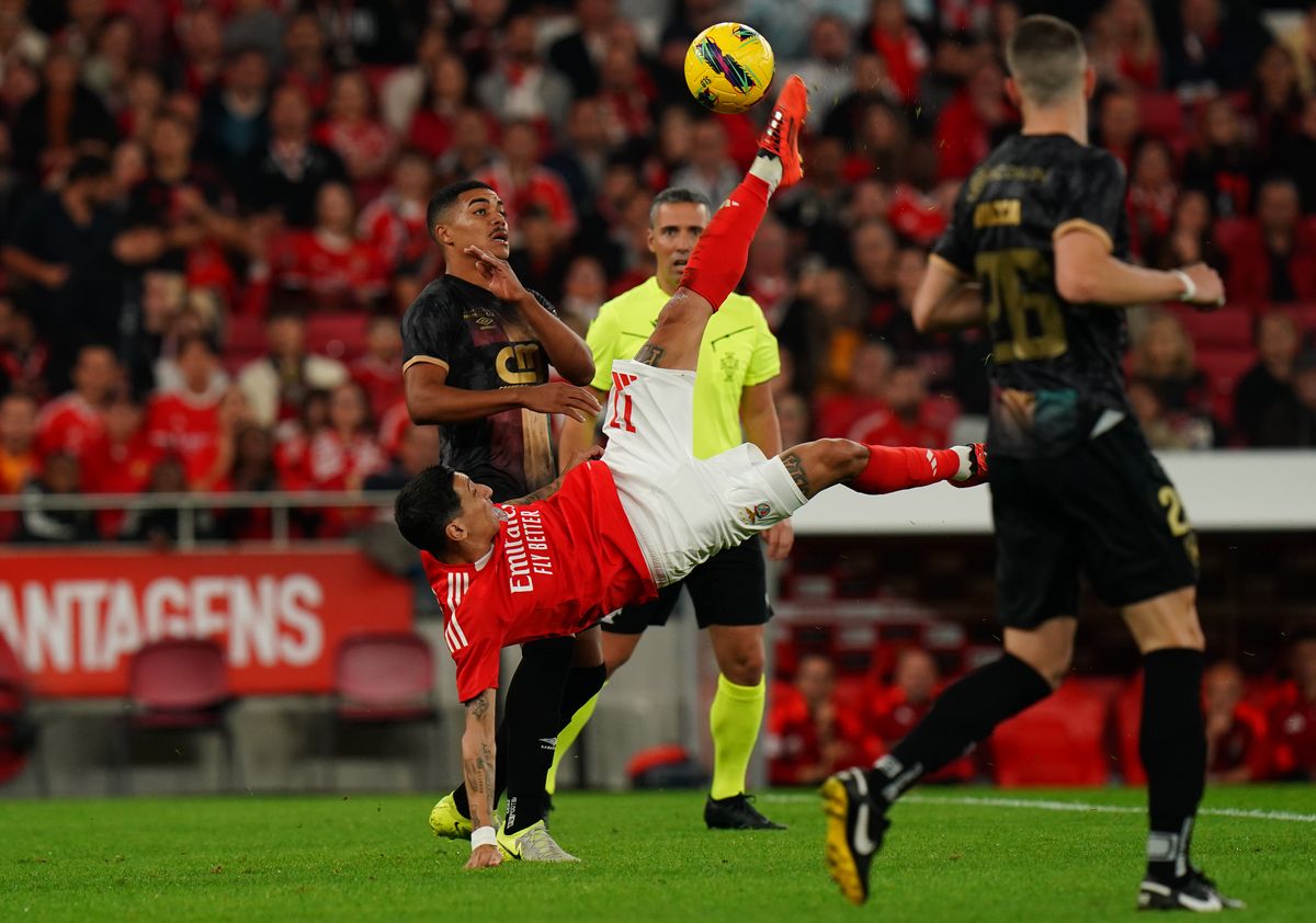 SL Benfica v CF Estrela da Amadora - Portuguese Cup