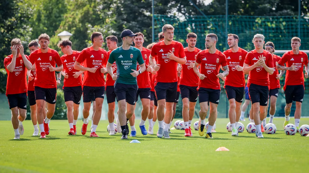 Olvasóinknál Tóth Alex és Dárdaiék is kezdenének a svédek ellen