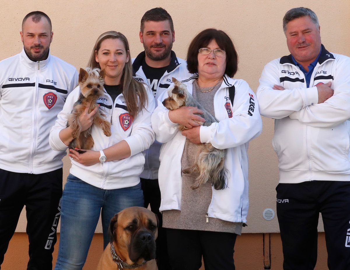 A kÃ©phez tartozÃ³ alt jellemzÅ Ã¼res; BAL3291_resize.jpg a fÃ¡jlnÃ©v