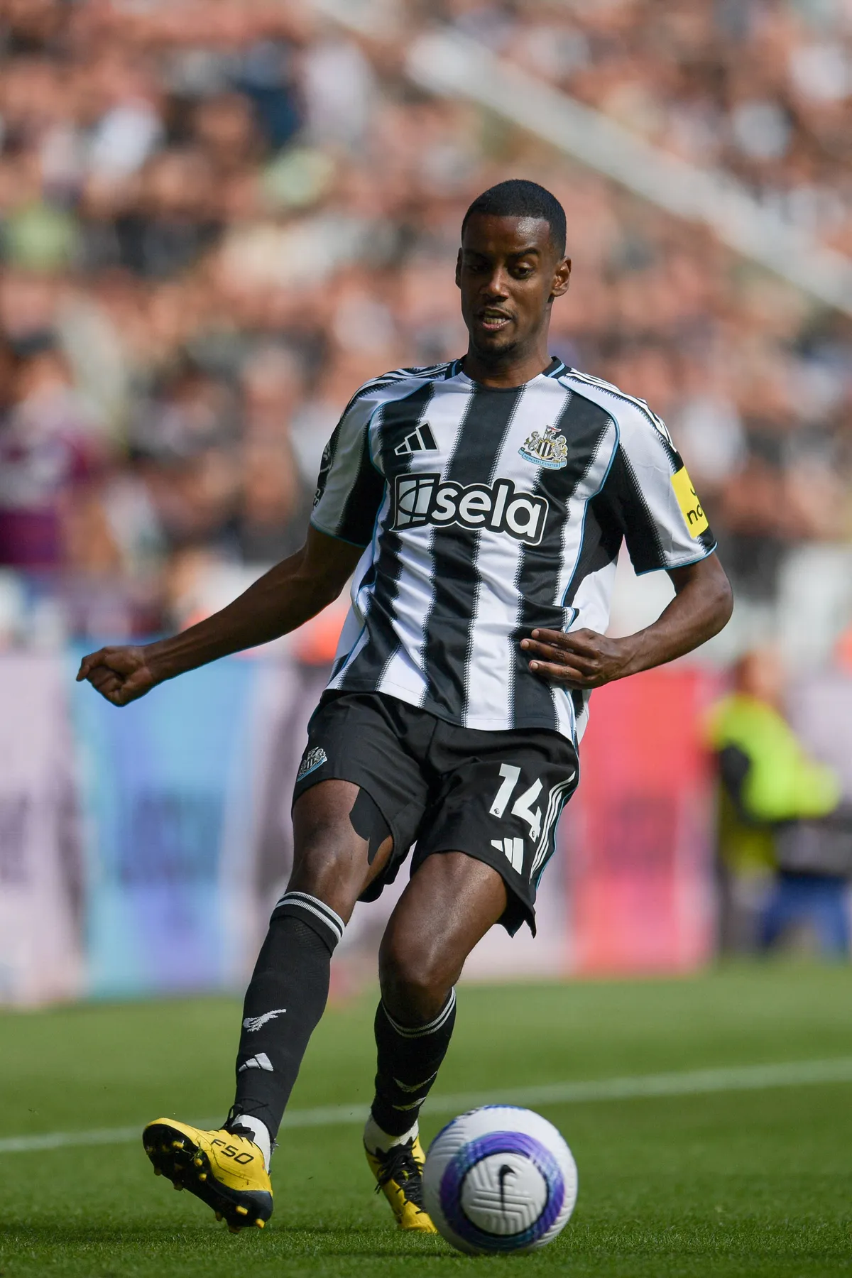 Newcastle United FC v Everton FC - Premier League