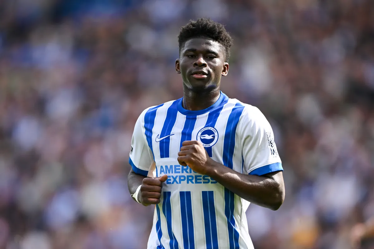 Brighton & Hove Albion FC v Leicester City FC - Premier League