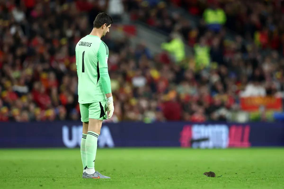 Wales v Belgium - Group J FIFA World Cup 2026 Qualifier