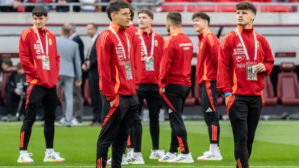 Vb-selejtező: Magyarország–Írország