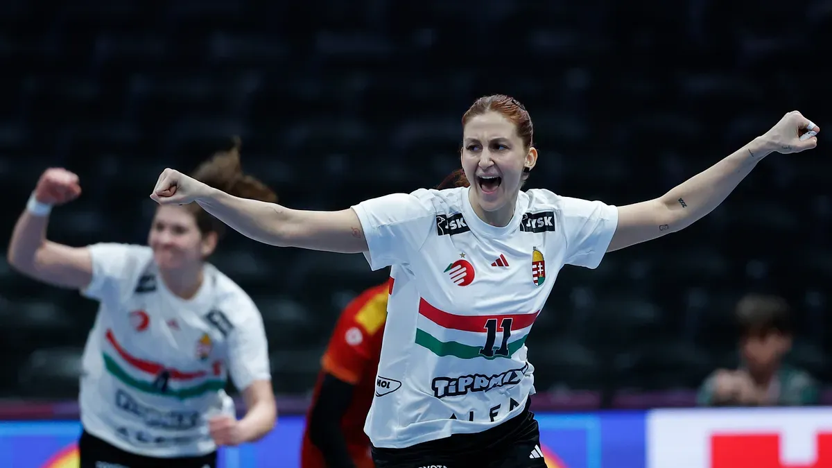 Női kézilabda-világbajnokság: Japán–Magyarország